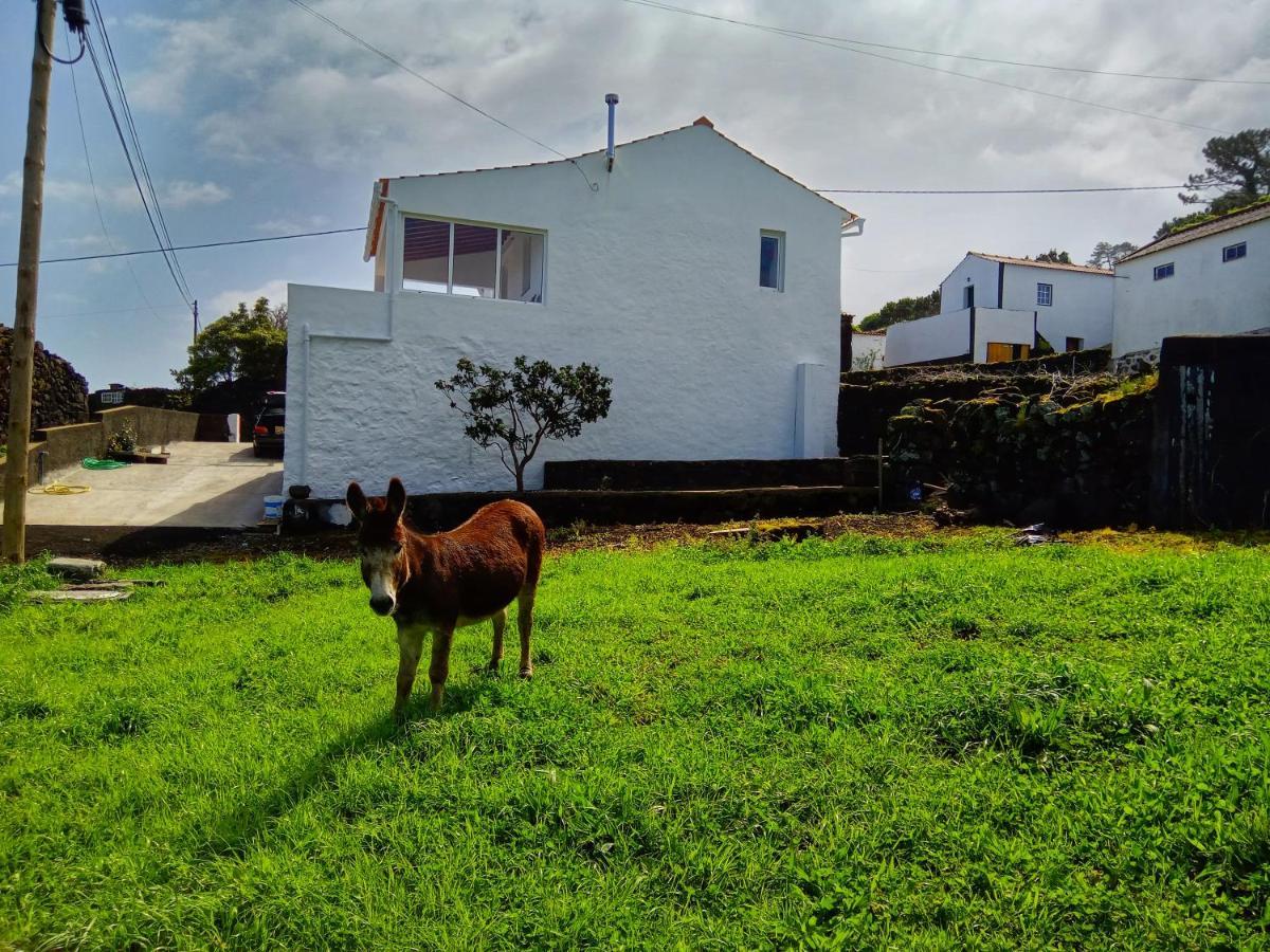 فيلا Casa Do Marcelino Lagarto São Roque do Pico المظهر الخارجي الصورة