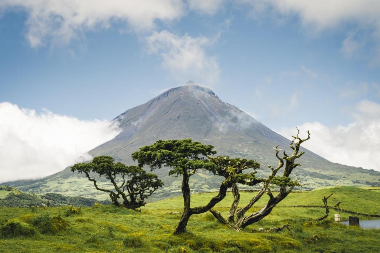 فيلا Casa Do Marcelino Lagarto São Roque do Pico المظهر الخارجي الصورة