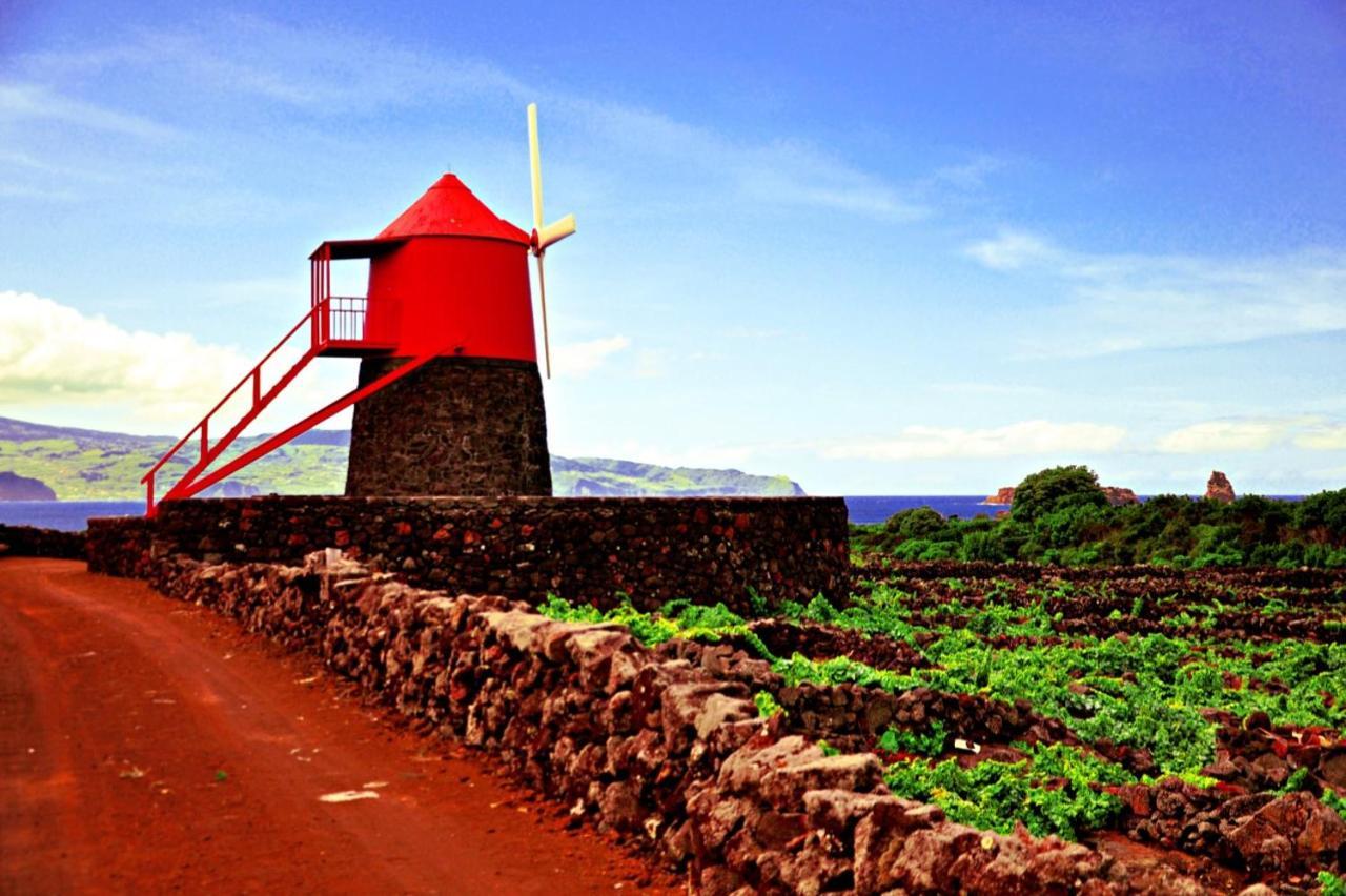 فيلا Casa Do Marcelino Lagarto São Roque do Pico المظهر الخارجي الصورة