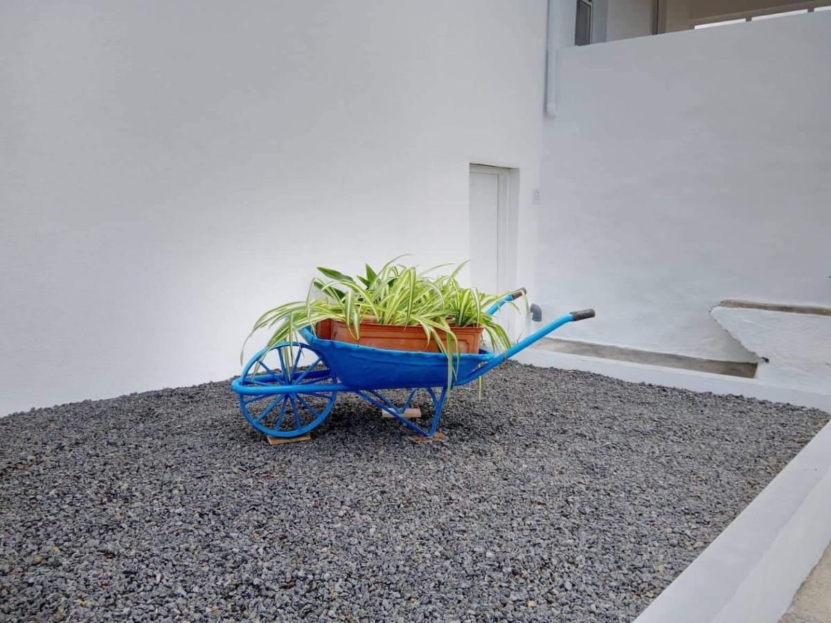 فيلا Casa Do Marcelino Lagarto São Roque do Pico المظهر الخارجي الصورة